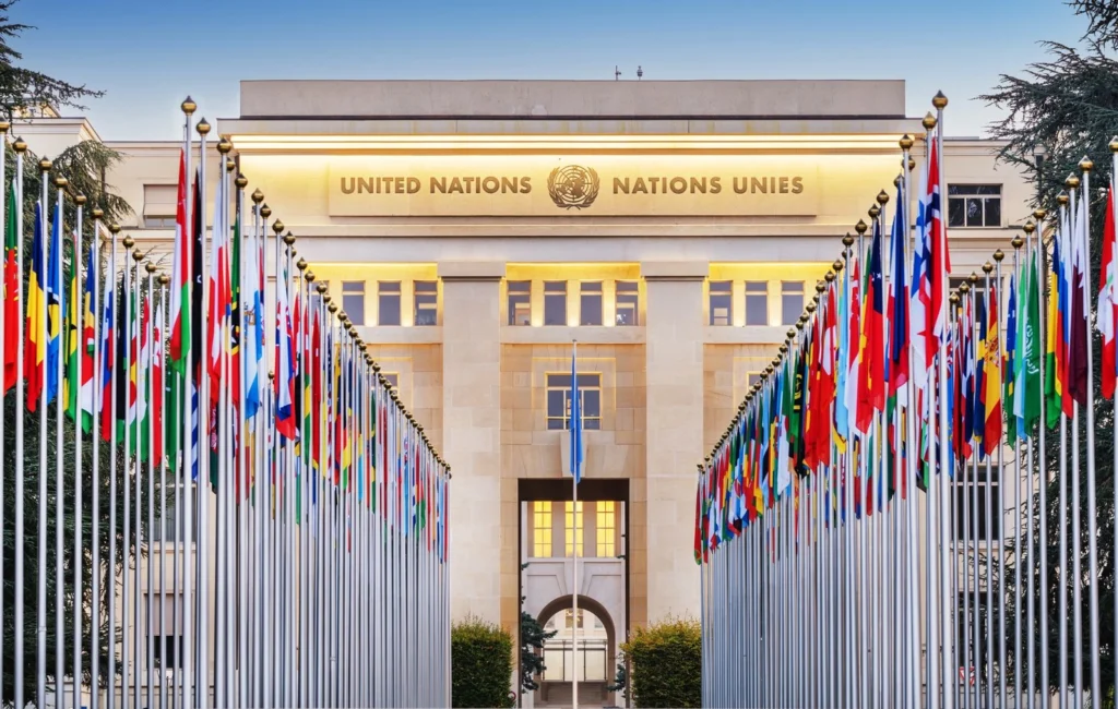 Role of the United Nations